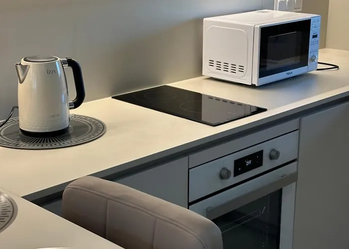 Artion Alfa Luxury Apartament *