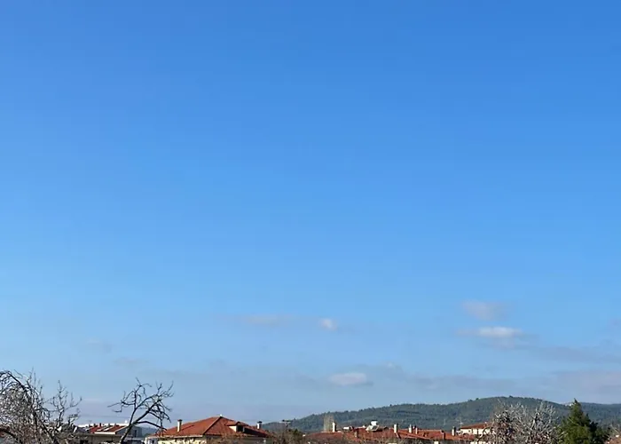 Artion Alfa Luxury *